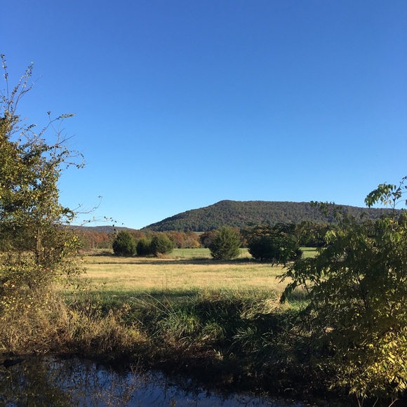 Meet your Posher, Julia - Picture 1 of 1